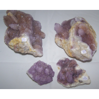 Amethist Cactus (Zielkwarts)