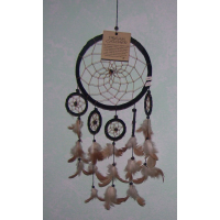 Dreamcatchers Leer 3