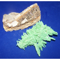 Selenietkristal  Bruin-Groen