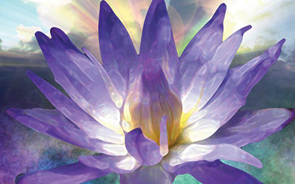 paarse lotus paarse lotus