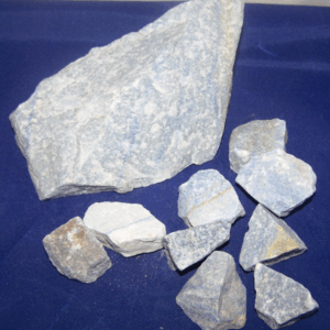 Blauwkwarts